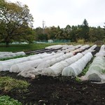 クッチーナ キムラ - 