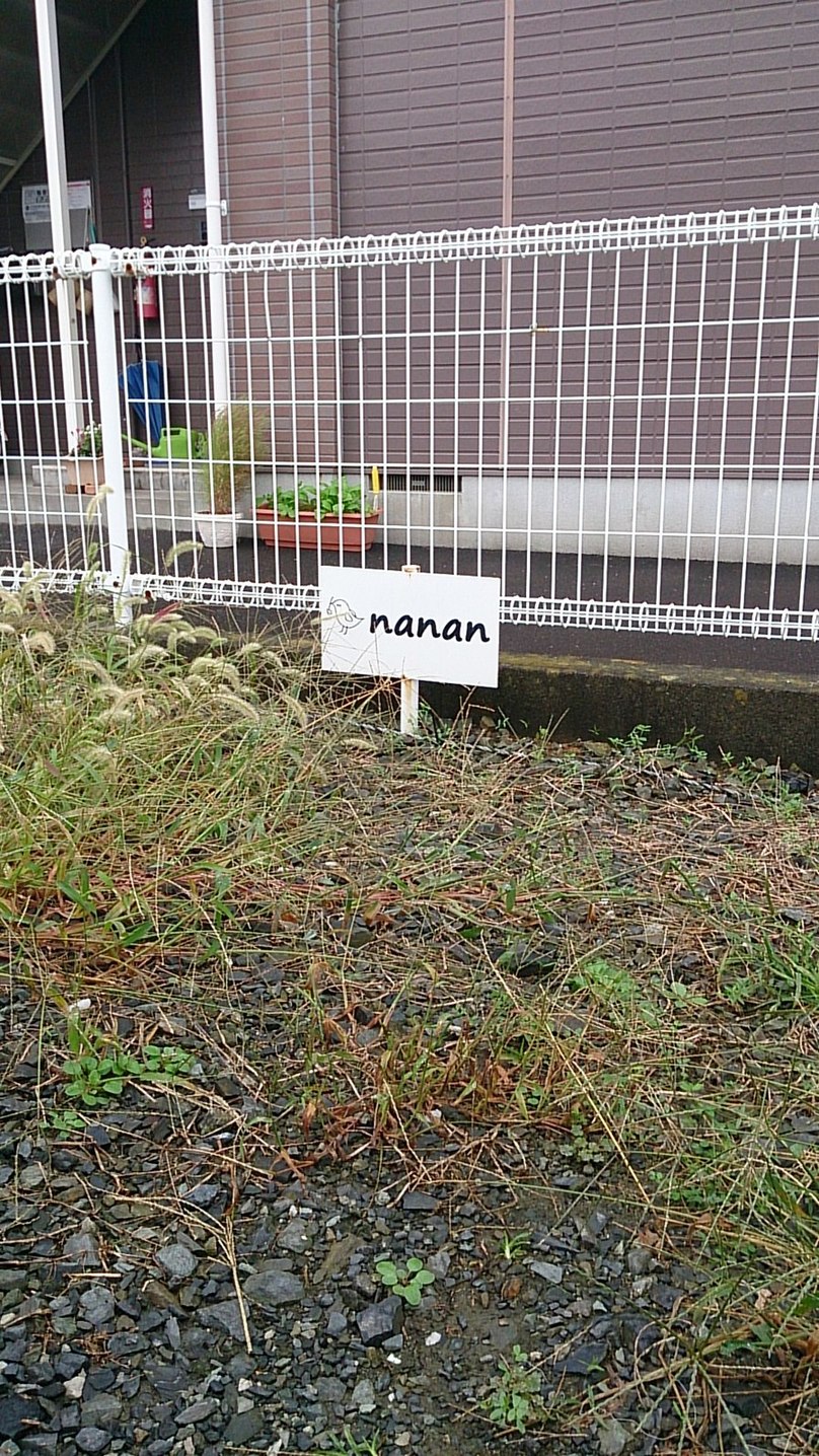 焼菓子nanan name=