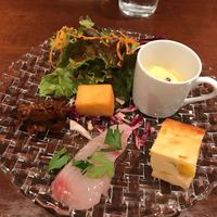 フィーコディンディア - 