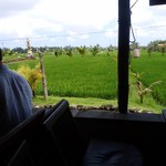 Bebek Joni Restauran - 田園風景横のテラス席から。