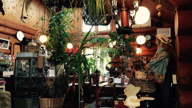 キッチントヨボ - 会津坂下（カレー）の写真