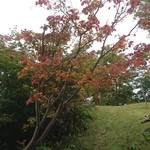 Hegisoba Wataya - 大厳寺高原の紅葉