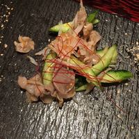 鳥ばか一代 - 