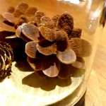 セララバアド - 松ぼっくり