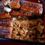 うなぎ 膳 - うな重 特上