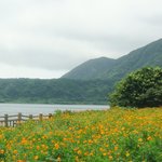 道の駅 いぶすき彩花菜館 - 池田湖と開聞岳