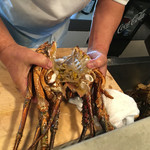 ななにん - ねこやさん伊勢海老解体ショー