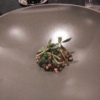SALONE 2007 - 大麦・牛・クレソン・グリンピース