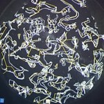 清里高原ホテル - 