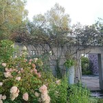 清里高原ホテル - 