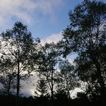 清里高原ホテル - 