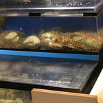 魚貝三昧 げん屋 - 水槽には美味しそうな魚介類がスタンバイ♪