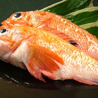 ■生のきんき塩焼きor煮付け