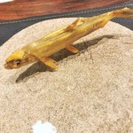 鵡川のししゃも