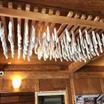 キュルノンチュエ - 