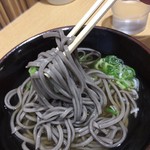 気比そばあまの - 麺リフトしてみました