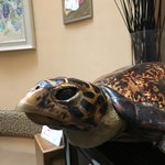 田舎カフェ オーチャード - 