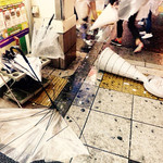 かもふく - 台風の被害(？)が早くも出ていた大阪市内。