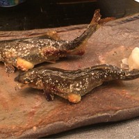 京料理 木乃婦 - 