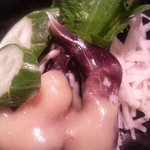 鮨げん家 - とり貝（肝付き）酢みそ