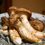 松川 - 岩手産松茸