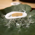 松川 - 烏賊るいべ