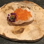 ラ・ヴァガボンド - 化石の上