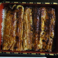 石ばし - うな重　特上　5000円