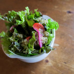 Nord - カレーはサラダ付き。ドレッシングがこれまた美味い。