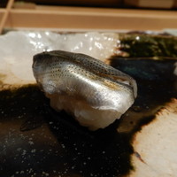 椿 - コハダ