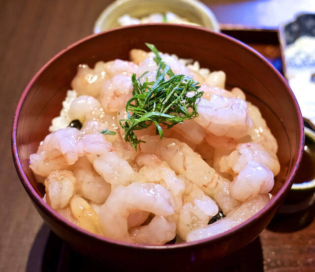 越前蟹の坊 三国港 かに 食べログ