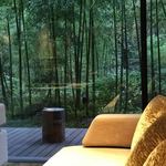 竹泉荘 - ライブラリーラウンジからの庭の眺め