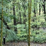 竹泉荘 - ロビーラウンジからの庭の眺め