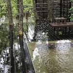 竹泉荘 - 女性大浴場「みずならの湯」の木立に囲まれた露天風呂。