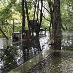 竹泉荘 - 木立の中の露天風呂