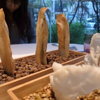 プレヴナンス - ワカサギと紫蘇の春巻き風