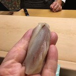 初音鮨 - （2017年9月）小肌(๑˃̵ᴗ˂̵)