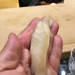 初音鮨 - （2017年9月）マナガツオ