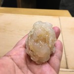 初音鮨 - （2017年9月）伊勢海老