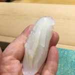 初音鮨 - （2017年9月）アオリイカ！