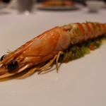 レフェルヴェソンス - 13