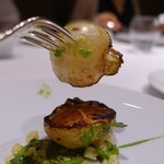 レフェルヴェソンス - 19