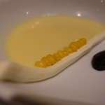 レフェルヴェソンス - 24