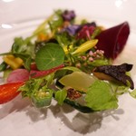 レフェルヴェソンス - 34