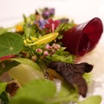 レフェルヴェソンス - 35