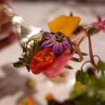 レフェルヴェソンス - 37