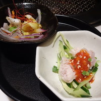 焼肉トラジ 名古屋セントラルタワーズ店 - 本日のフェ2種