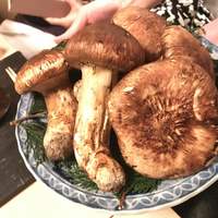 麻布十番 ふくだ - 