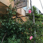 Torattoria Viba Ra Vita - 