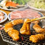 ホルモン道場 寄り本舗 - 料理写真